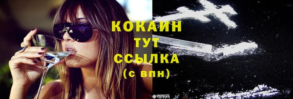 PSILOCYBIN Баксан