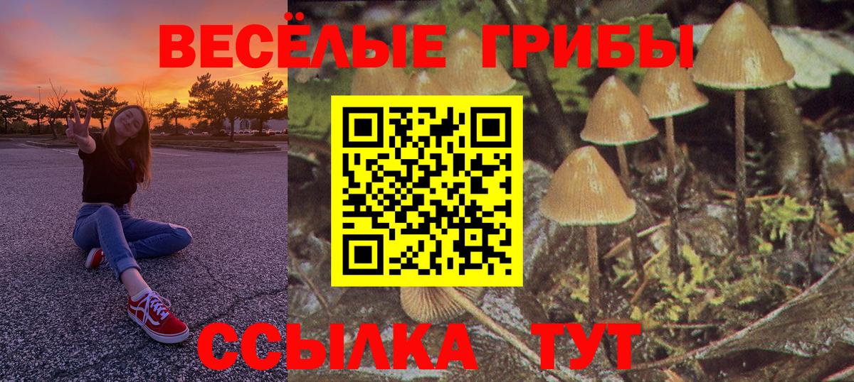 НБОМе Гусев