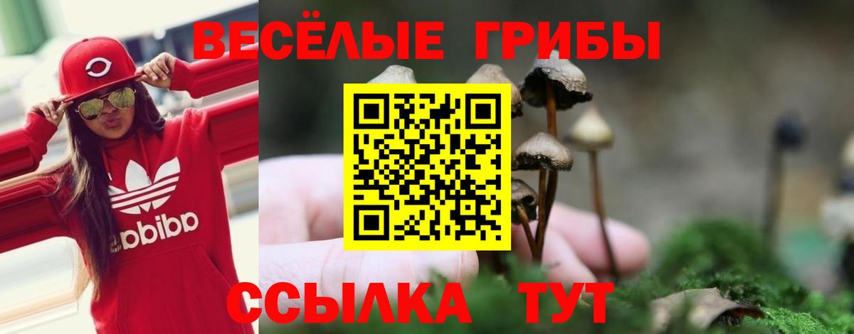 Псилоцибиновые грибы Psilocybine cubensis  дарнет шоп  Гусев  Вход с VPN 