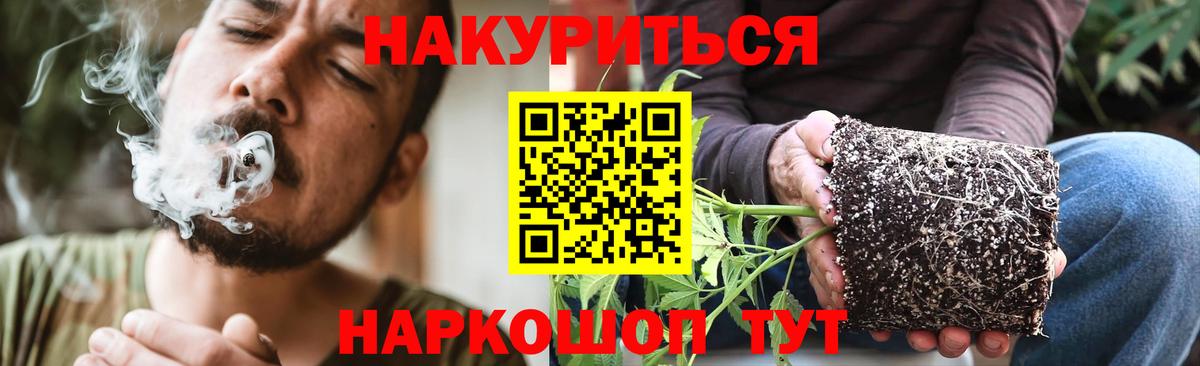 Конопля OG Kush Гусев